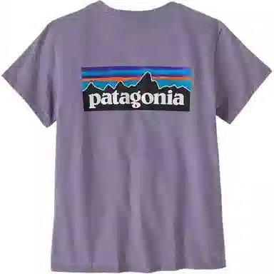 patagonia P-6 LOGO RESPONSIBILI T