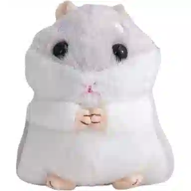 FKOFR 10cm