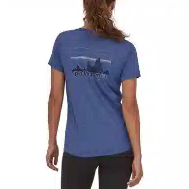 patagonia T