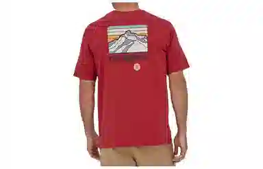 patagonia Responsibili-Tee Logo T