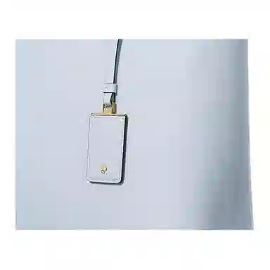 kate spade Logo Tote