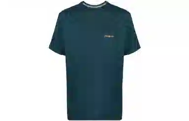 patagonia Responsibili-Tee Logo T