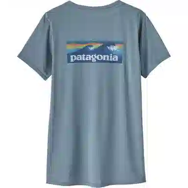 patagonia T