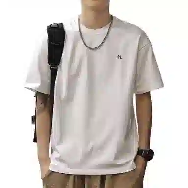 FRALAARRI T
