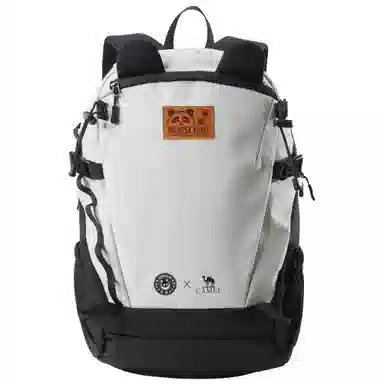 CAMEL Backpack