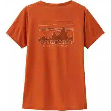 patagonia T