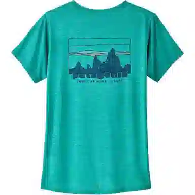 patagonia T