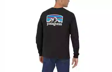 patagonia Men's Long-Sleeved Fitz Roy Horizons Responsibili-Tee LogoT