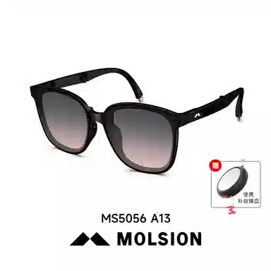 MOLSION