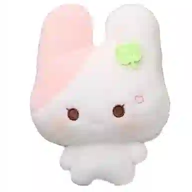 MANMIAO