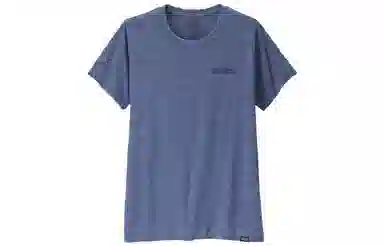 patagonia T