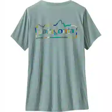 patagonia T
