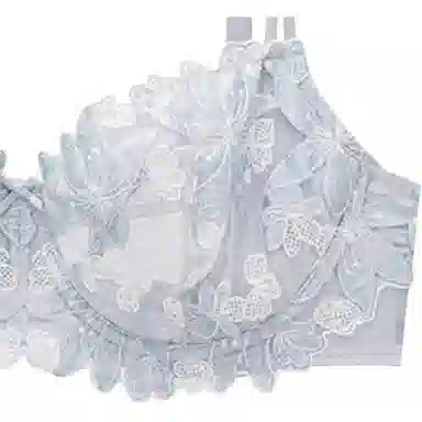 Victoria's Secret DREAM ANGELS