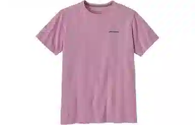 Patagonia Logo T-Shirt