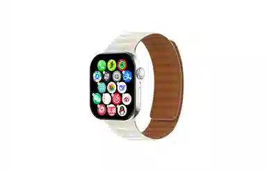 JOKER CAT app GPSDeepseek Al