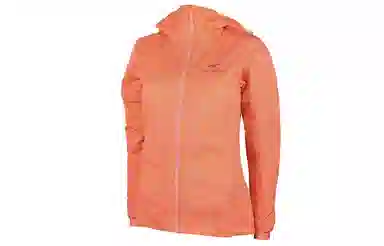 Arcteryx Atom LT Hoody Logo