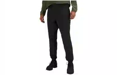 lululemon Insulated Jogger Pants 30"