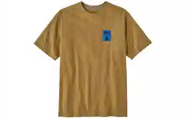 patagonia T