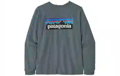patagonia P-6 Logo Responsibili-Tee T