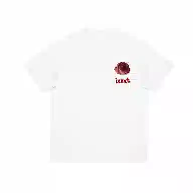 IXXAT T