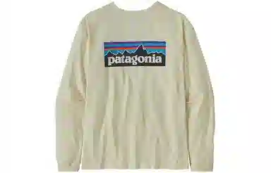 patagonia P-6 Logo Responsibili-Tee T