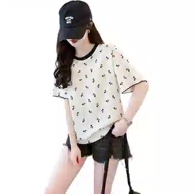LAKESI inst T