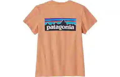 patagonia P-6 LOGO RESPONSIBILI T