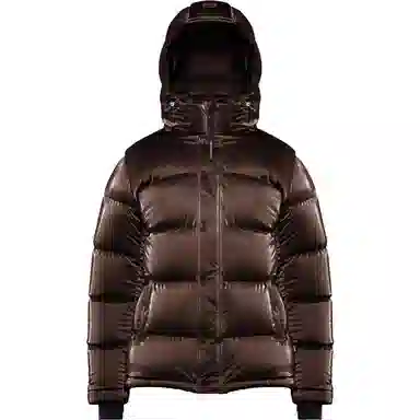 ARITZIA Super Puff Liquid Shine