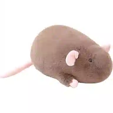 18cm35cm65cm