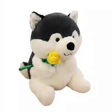 lionf 40cm