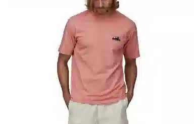 patagonia Men's '73 Skyline Organic T-Shirt LogoT