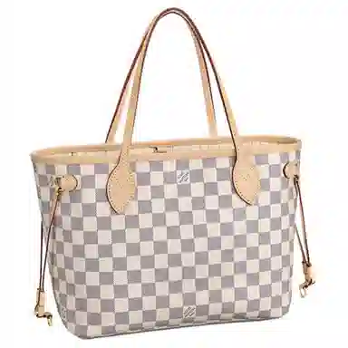 LOUIS VUITTON NEVERFULL PM Tote
