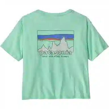 patagonia T
