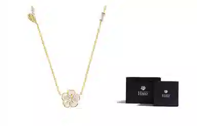 HMZ 925