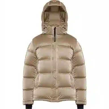 ARITZIA Super Puff Liquid Shine