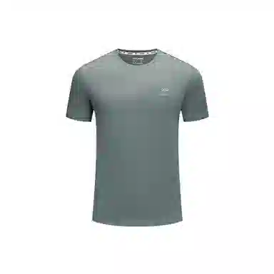 hummel T