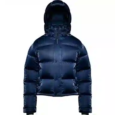 ARITZIA Super Puff Liquid Shine Shorty