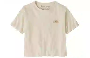 patagonia T