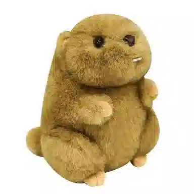 JBBCN 18cm25cm35cm45cm