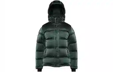 ARITZIA Super Puff Liquid Shine