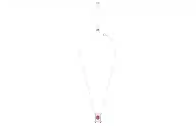 Swarovski Chroma Necklace