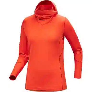 Arcteryx Rho Hoody