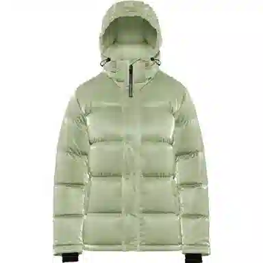 ARITZIA Super Puff Liquid Shine