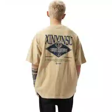 XINYINSU T