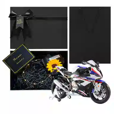 ENGTEN S1000RR 19 MR