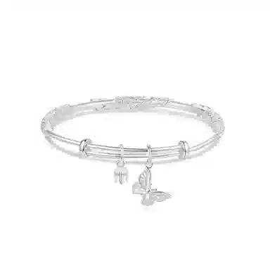 KING TAI SANG s999 999