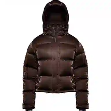 ARITZIA Super Puff Liquid Shine Shorty