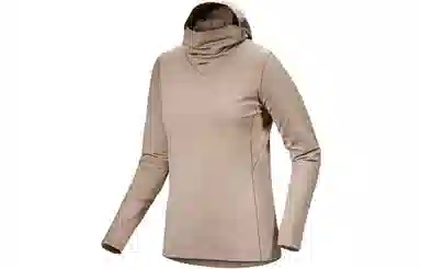 Arcteryx Rho Hoody