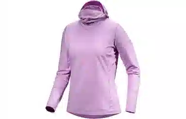 Arcteryx Rho Hoody