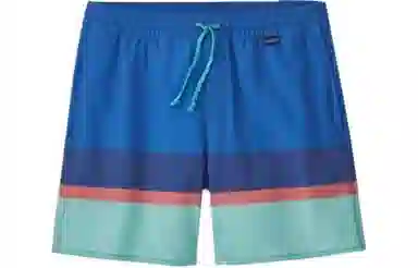 patagonia Logo